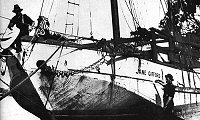 Click to enlarge